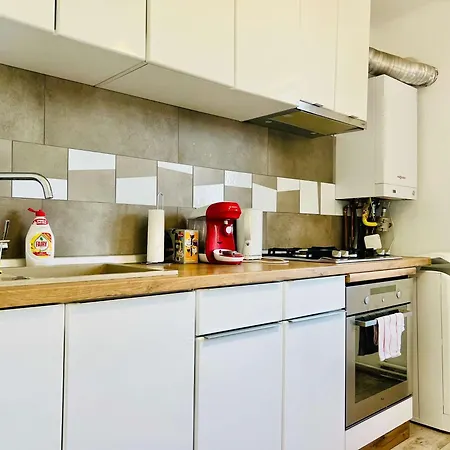 Joy Victor 14 * 蒂米什瓦拉