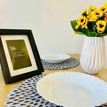 公寓 Joy Victor 14 蒂米什瓦拉