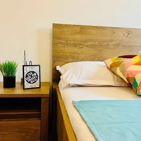 Joy Victor 14 蒂米什瓦拉