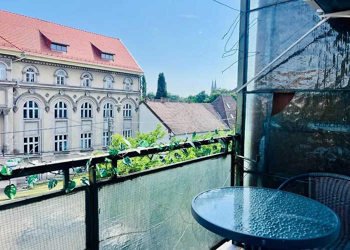 Apartment Joy Victor 14 *