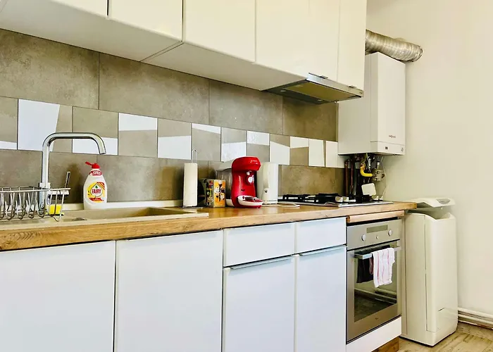 Joy Victor 14 * 蒂米什瓦拉