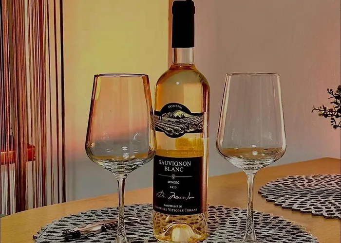 Joy Victor 14 公寓 蒂米什瓦拉