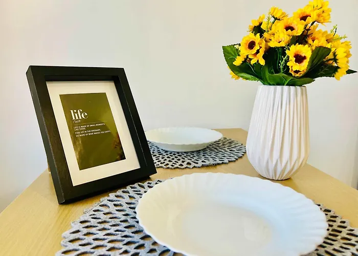 公寓 Joy Victor 14 蒂米什瓦拉